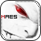 maes