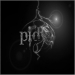 pidy