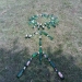 sweetbullet