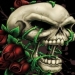 legion_X