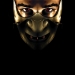 niGht_nInJa
