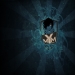 rawn