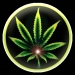 deba_cs