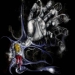 c4Mbellou