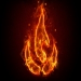 nimra_