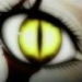 GrayFox