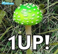 love it =)