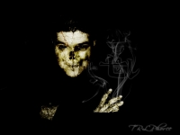DS TRL