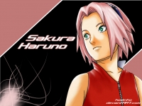 Sakura Wallpaper