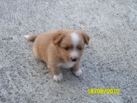 Beni ;)