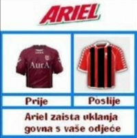 Ariel