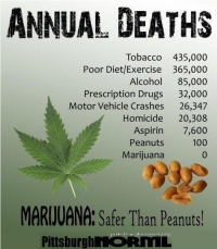 Legalize