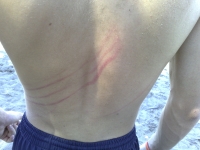 Igrao beach volley....zezao se sa curom i ista me ogrebala :)