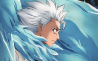 Hitsugaya Toshiro.