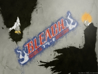 Zangetsu & Ichigo. Bleach.