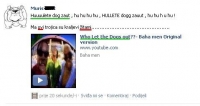 Stupidity lvl 50