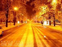 BL noc