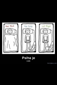 Psiha
