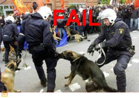 FAIL xD