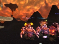@ Amani War Bear