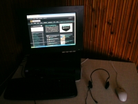 my wp vol. 1