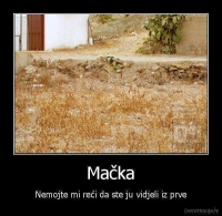 Pazi mačka