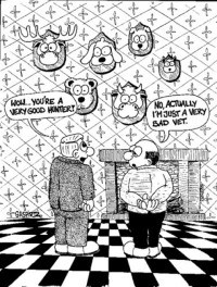Veterinar .... :)