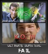 Bear Grylls pwned by Bee!