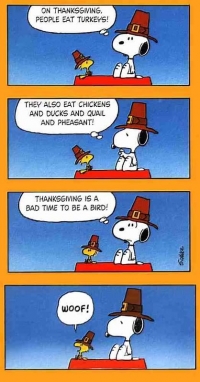 Thanksgiving