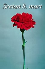 Sretan 8. mart
