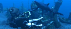 Tomb Rider: Underwold patch za PS3 u izradi