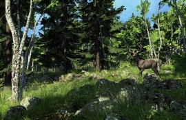 The Hunter: Prvi Traileri...