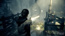 Alan Wake tek u maju 2010. godine