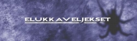 Playzone sponzorisao Elukkaveljekset