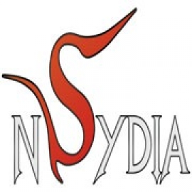 nSydia sa novim CS timom