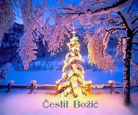 Čestit Božić
