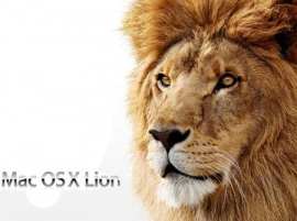 Mac OS X Lion uskoro na USB-u