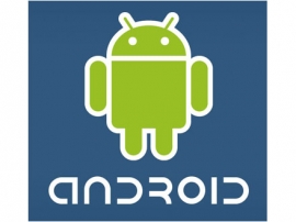 Point of View ProTab2 XXL 10 inčni Android Tablet