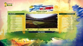 2014 FIFA World Cup Brazil
